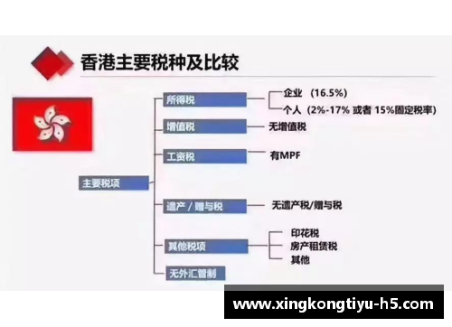 球员税：解析运动界税收体系